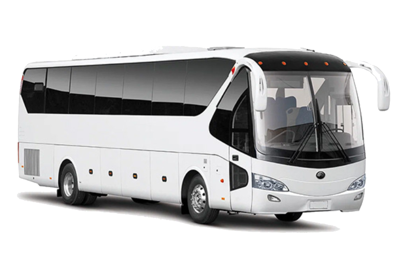 Категория D — автобусы